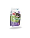 Alimento para Hurones CRISPY PELLET FERRET VERSELE LAGA 700 gr